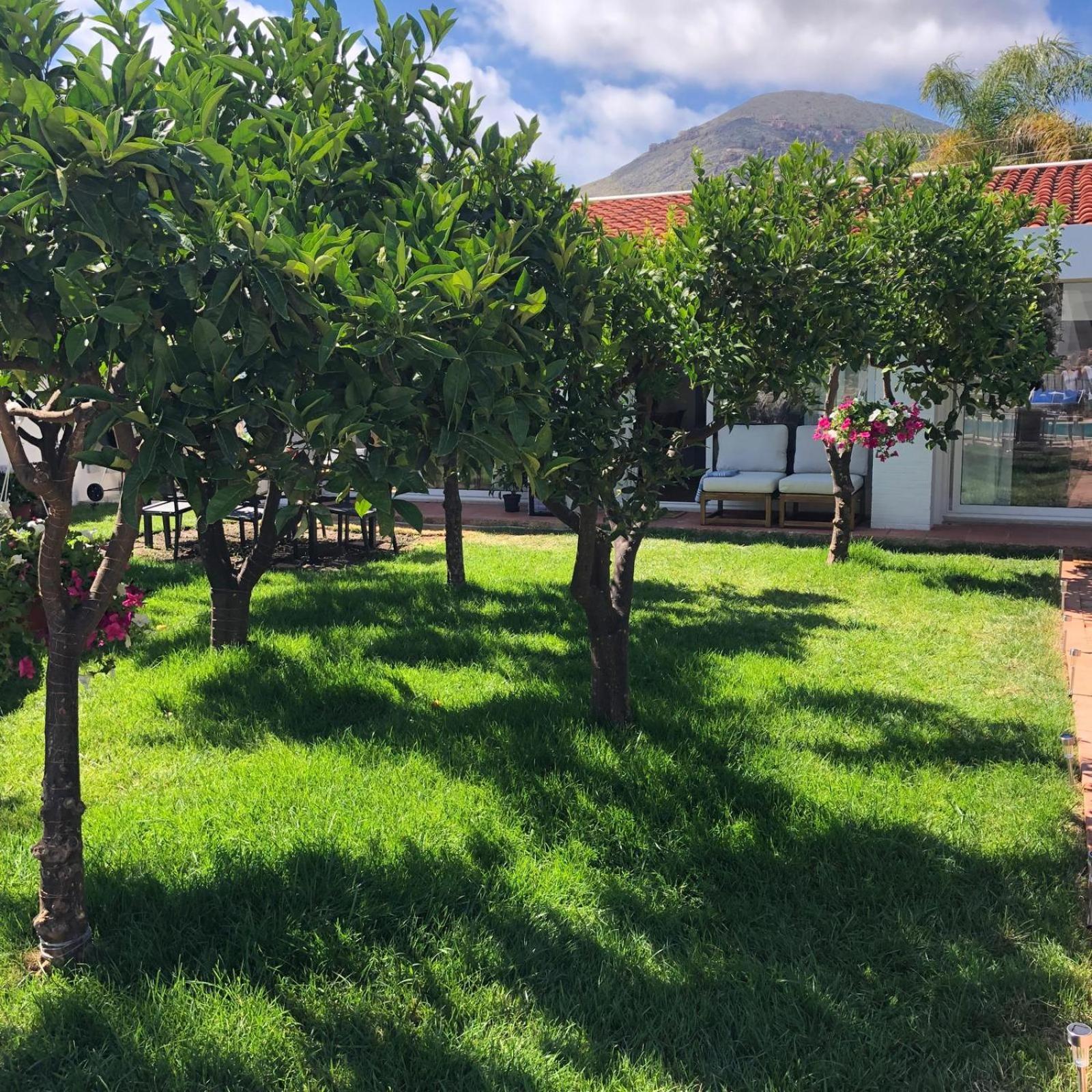 Villa Ribaudo Relax Монделло Екстер'єр фото